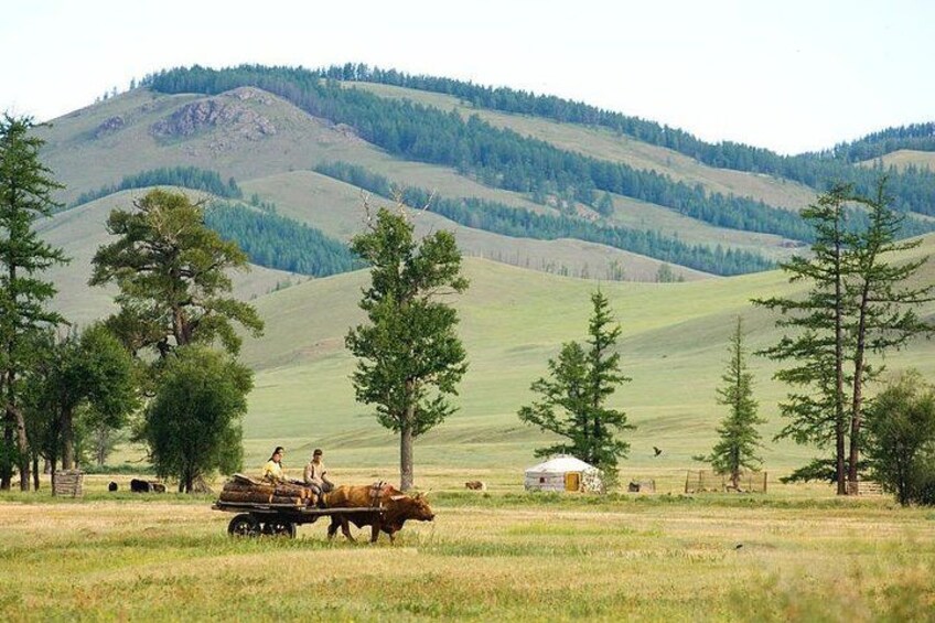 A rural landscape with rolling hills, a small wooden structure, and a horse-drawn cart. 5