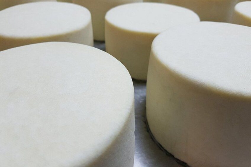 Several cylindrical cheese wheels. 3