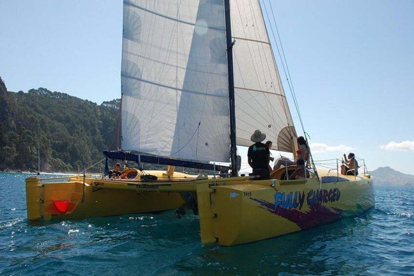 Un catamaran amarillo con la inscripción 'EVILY CHARGED' en el costado, navegando sobre aguas tranquilas con un paisaje montañoso al fondo. 3