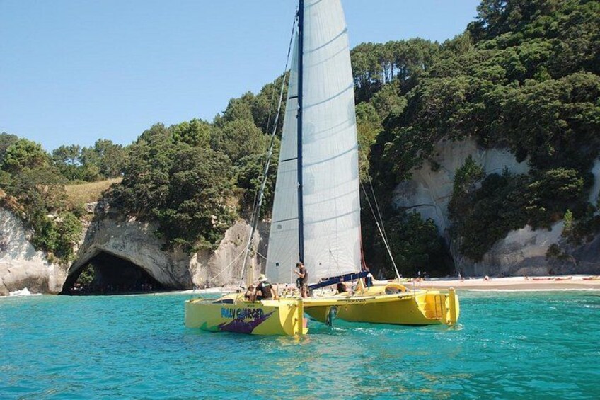 A yellow catamaran with a sail on the water near a rocky coastline. 1