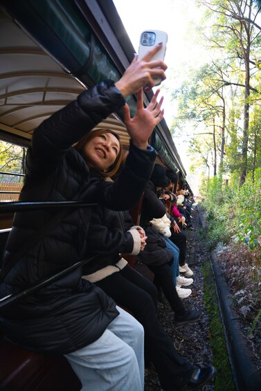 The Puffing Billy Steam Train and Dandenong Ranges with Japanese Commentary 4