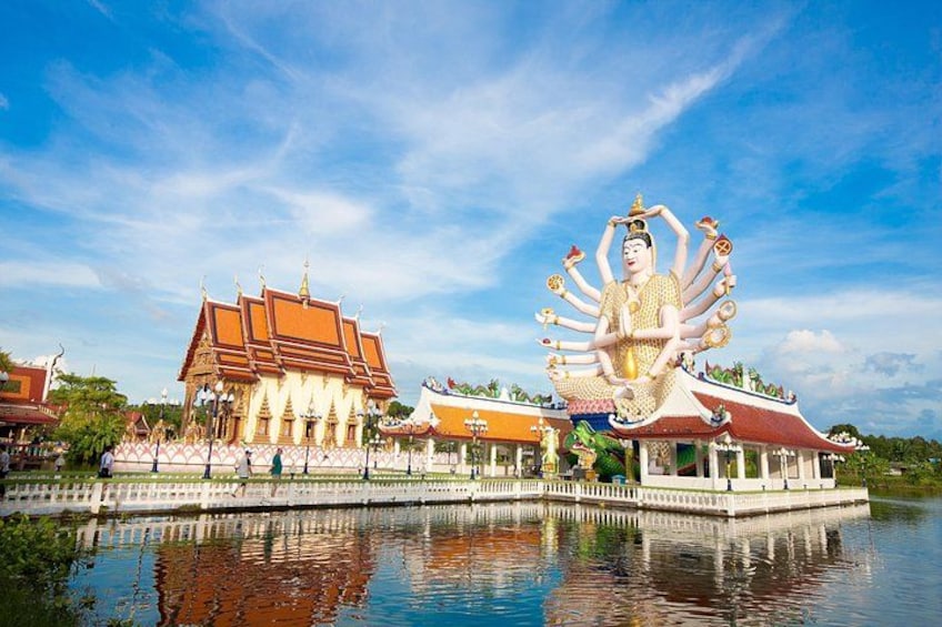 Private Customized Tour with Driver in Koh Samui 1
