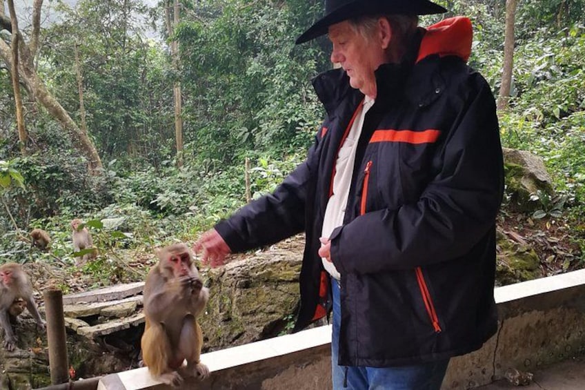 A person feeding a monkey in a natural setting with trees and a wooden structure. 3