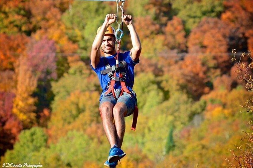 Una persona che fa zip-line attraverso una foresta con foglie autunnali. 1
