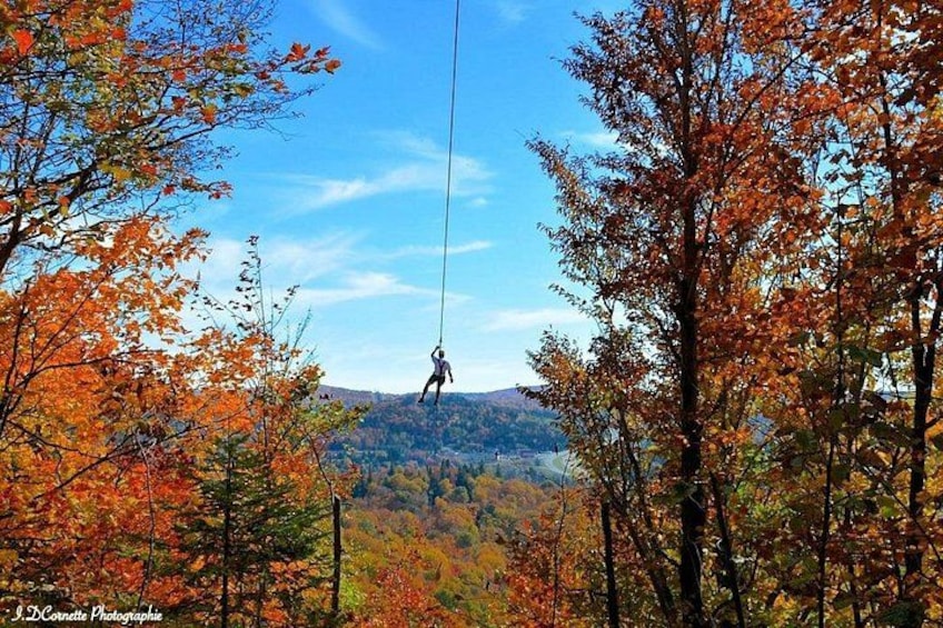 Une personne qui fait de la tyrolienne à travers une forêt où les feuilles d’automne sont tombées. 4