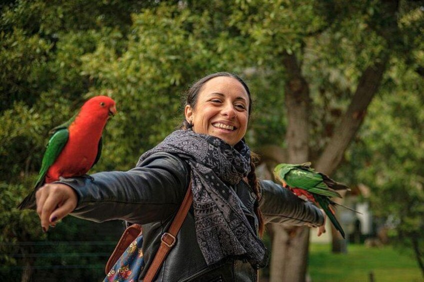 A person with two parrots perched on their arms in a park. 5