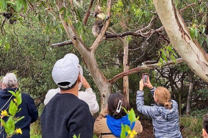 A group of people observing a tree with a large trunk and branches. 4