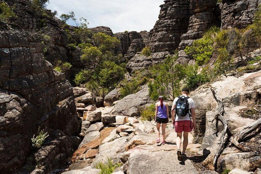 Two people hiking on rocky terrain with sparse vegetation. 1