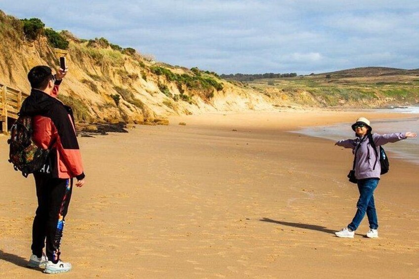 Phillip Island Penguin Parade Day Tour from Melbourne 2