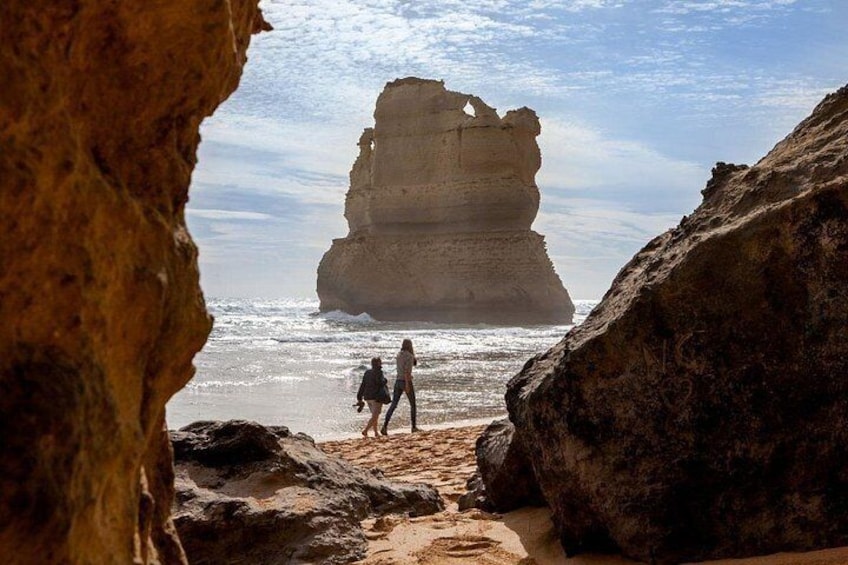 Great Ocean Road Small-Group Eco Tour from Melbourne 5