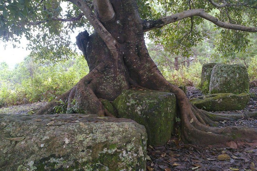 Plain of jars site 2 5