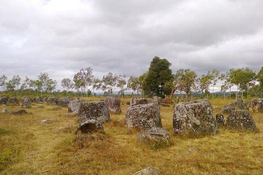 A field of standing stones with a tree in the background. 3