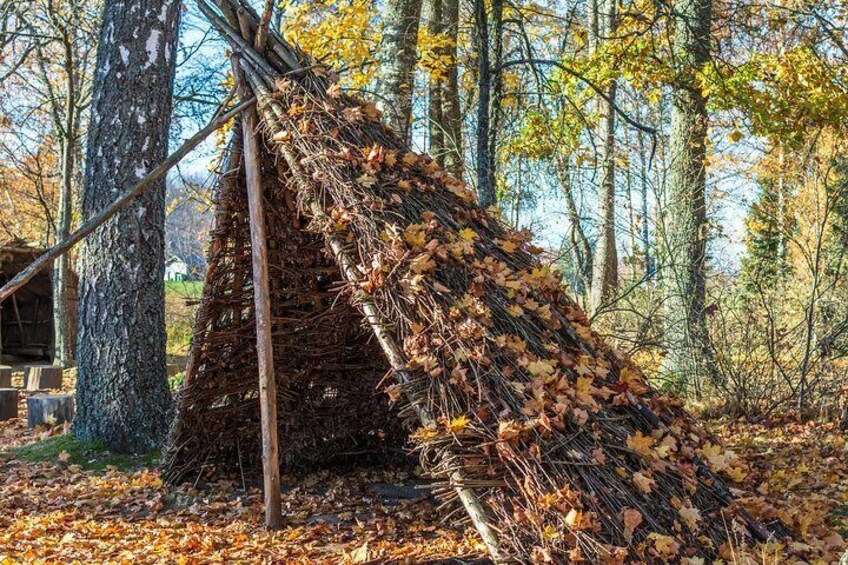 A tree with a nest made of twigs and leaves. 1
