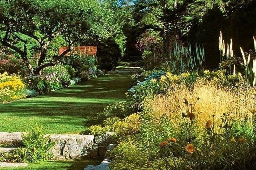 Un jardín con un sendero de piedra, diversas plantas y un pequeño arroyo. 5