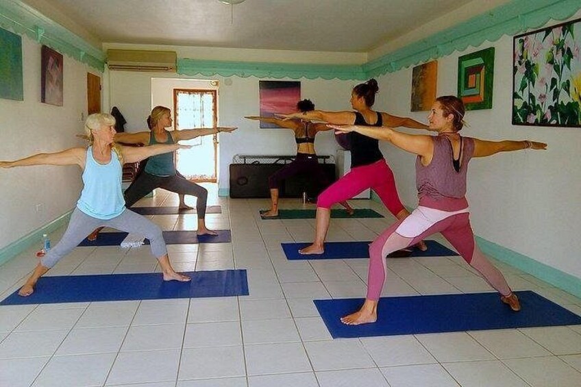 Yoga and Meditation, Group or Private Sessions in Nevis 5
