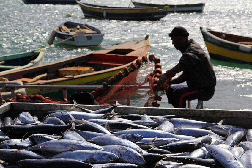 A dock with fishing boats, a man sitting on a chair, and a large pile of fish. 5