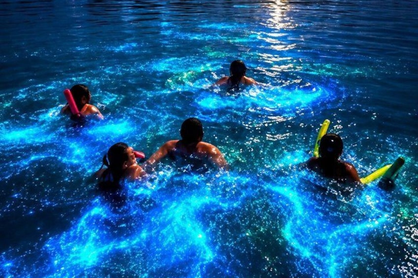 The ULTIMATE Bioluminescence night time adventure with Brandon 1