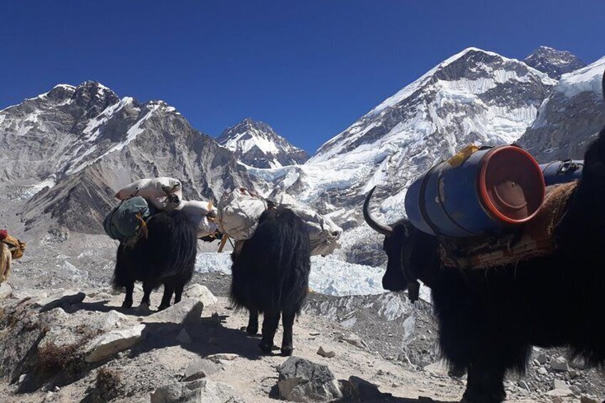 Nuptse Expedition 3