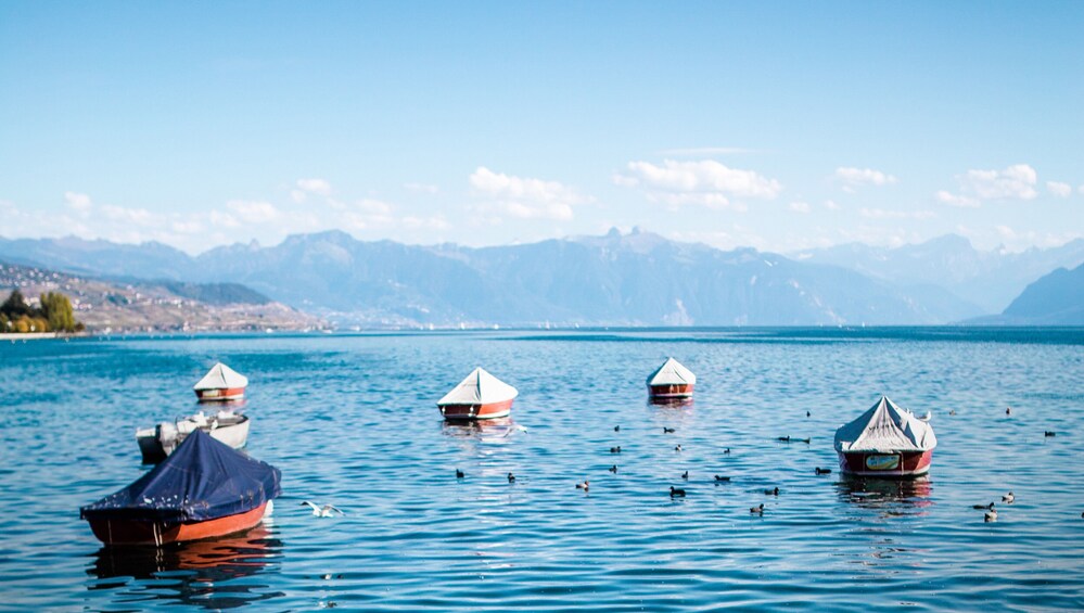 The Instagrammable Places of Lausanne with a Local 5