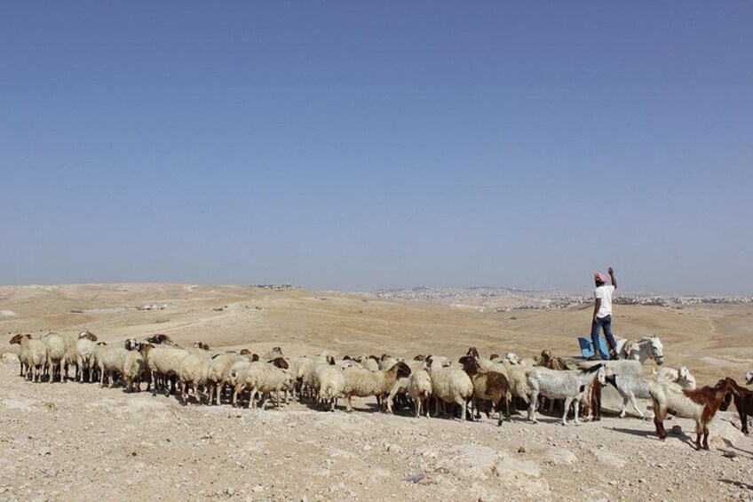 Judean Desert Jeep Adventure from Jerusalem 5