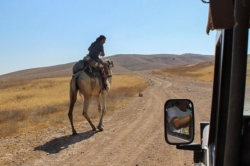 Judean Desert Jeep Adventure from Jerusalem 5