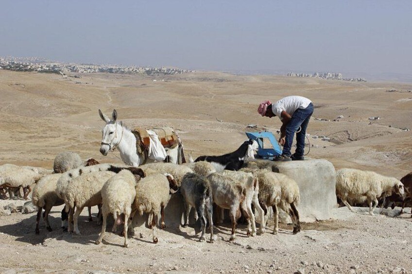 Judean Desert Jeep Adventure from Jerusalem 4