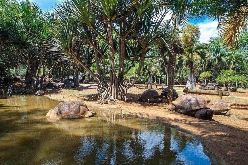 La Vanille Nature Park 3