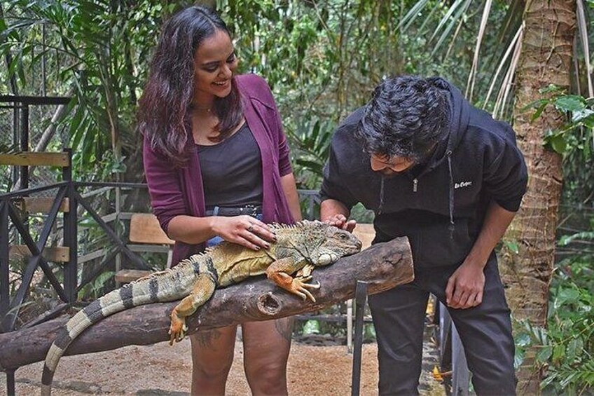 Crocodile Nature Park 2