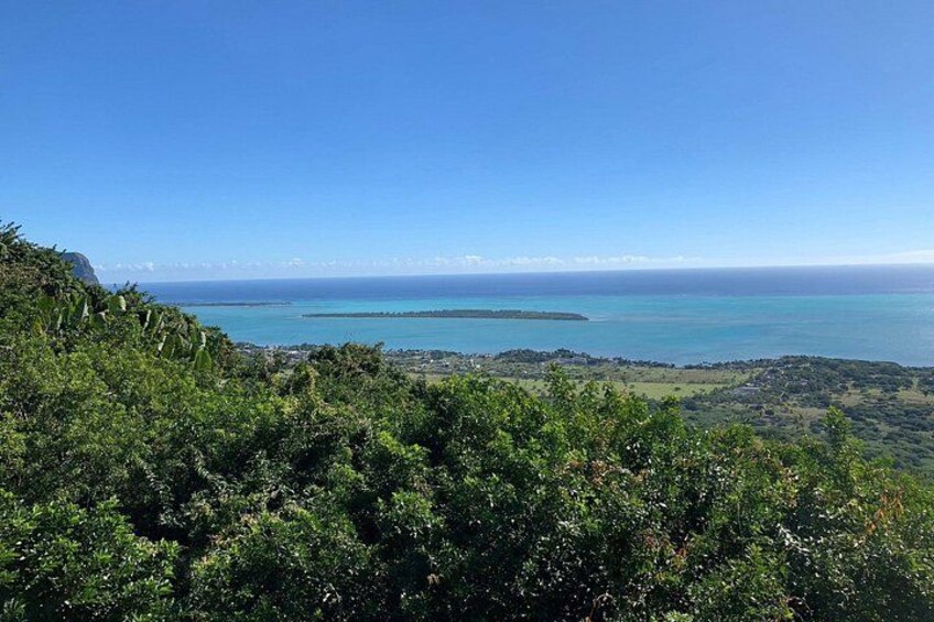 A coastal landscape with dense greenery in the foreground and a clear blue sea in the background. 5