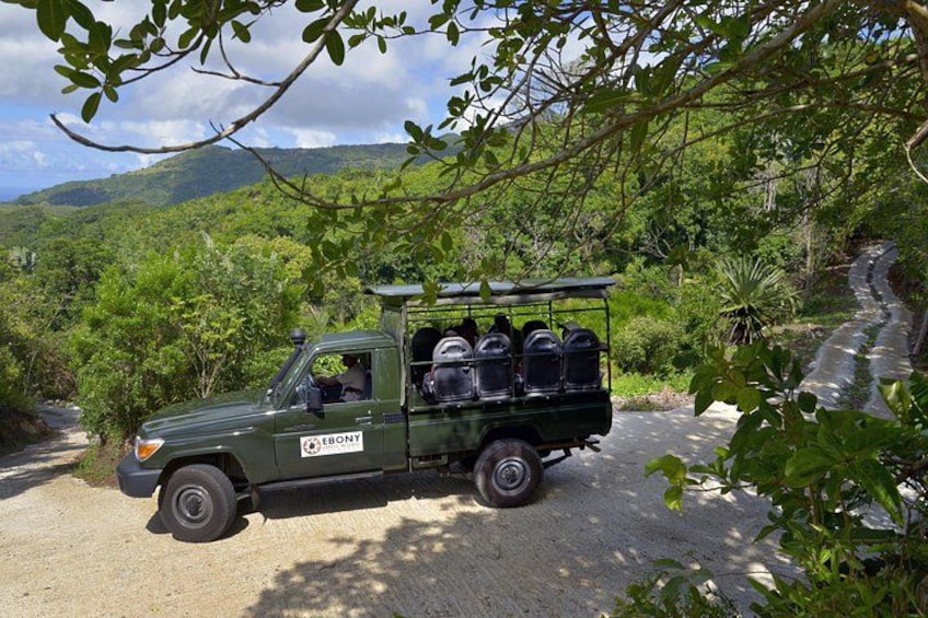 Safari Jeep 2