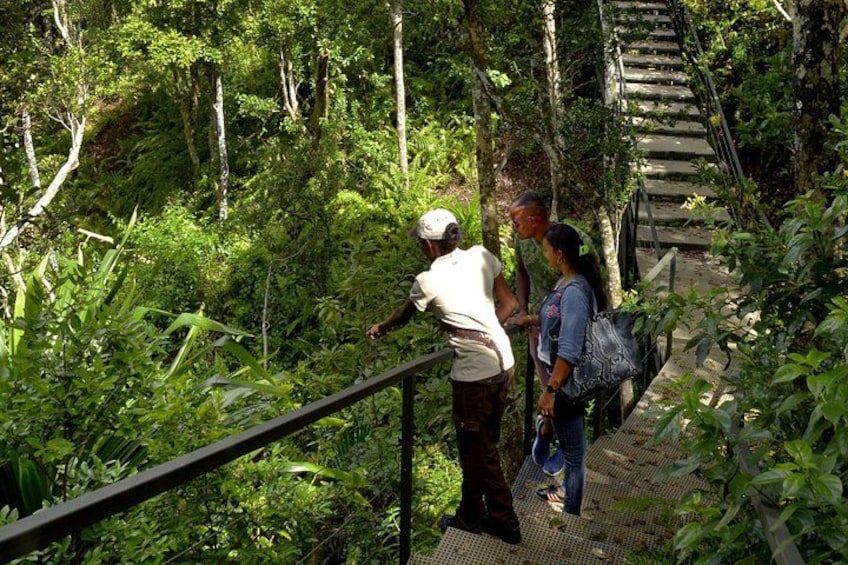 Guided visit 4