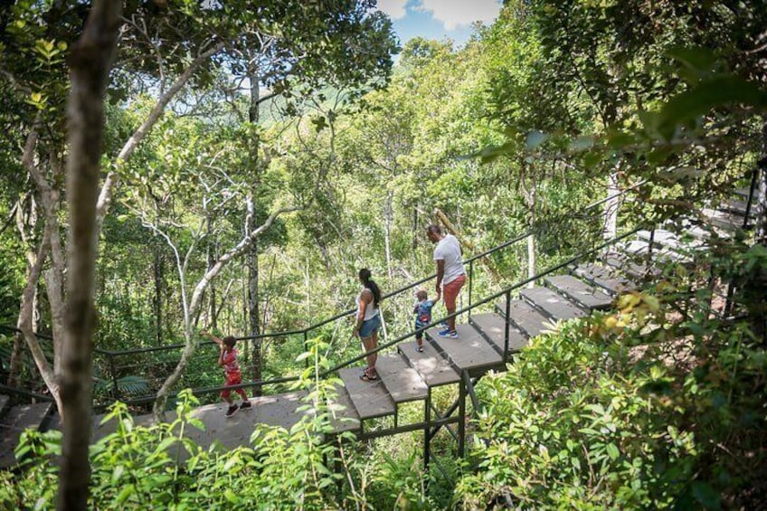 A woman and two children walking on a wooden boardwalk through a forested area. 3