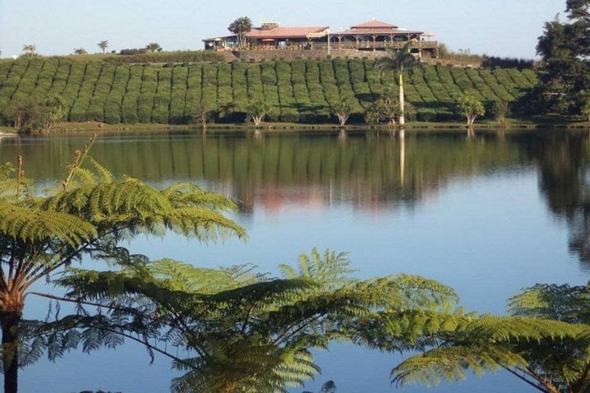 Un grand bâtiment perché sur une colline, avec un lac au premier plan et des fougères. 3