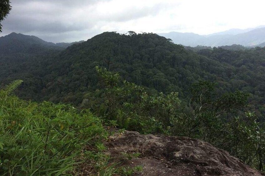 A dense forested mountain range with a rocky foreground. 1