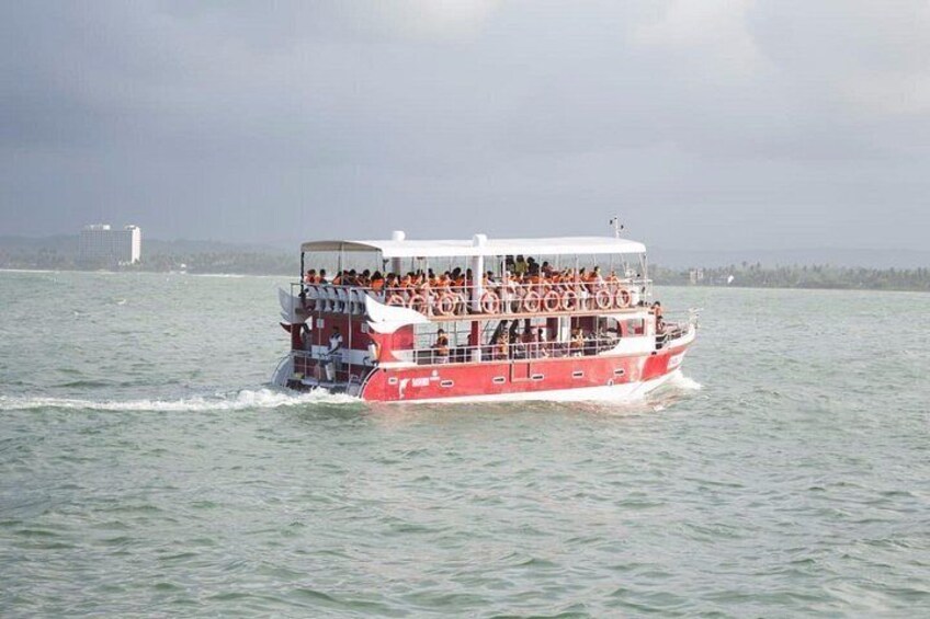 Whale Watching Mirissa with Eagle Eye 2