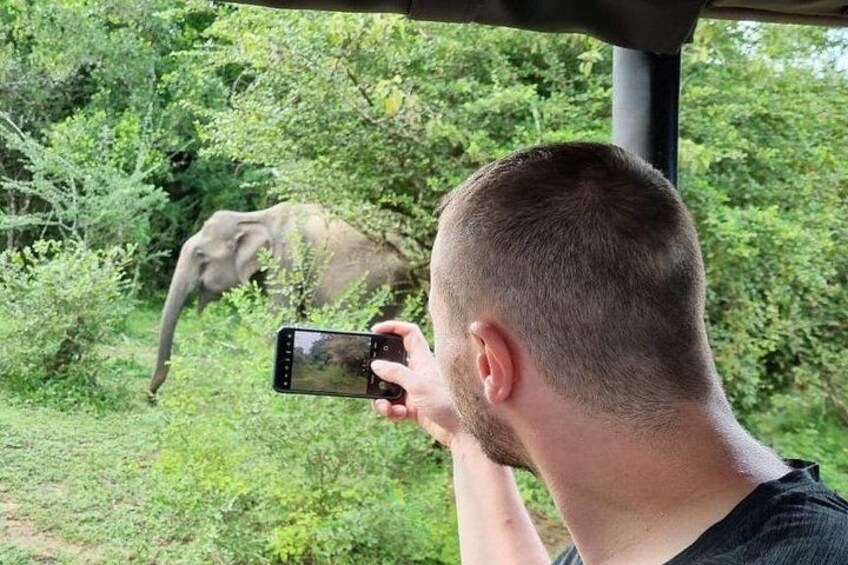 Yala safari from Galle / Unawatuna / Waligama / MIrissa / Matara 4