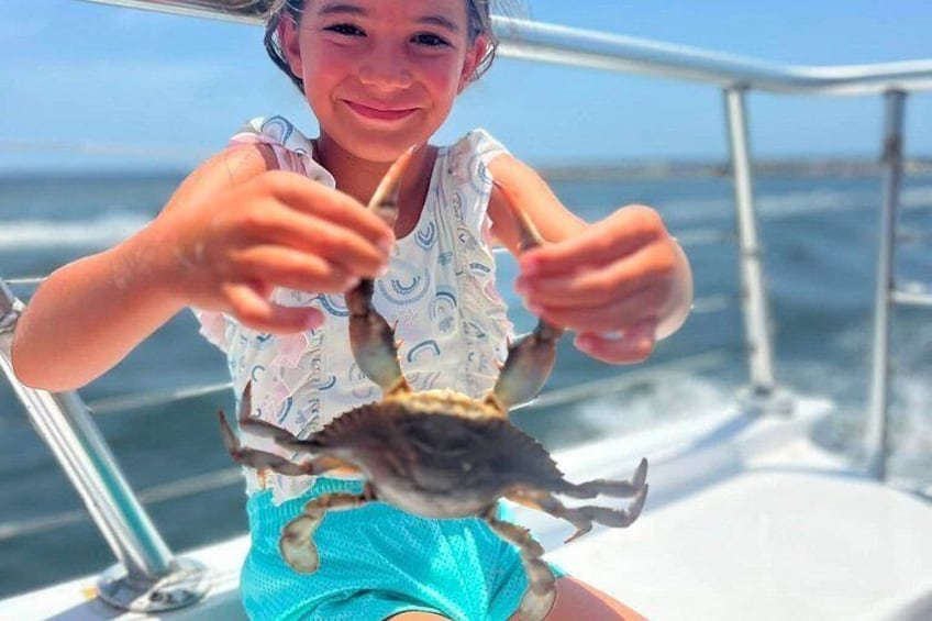 BIG FUN Dolphin Cruise & Sealife Experiece ORANGE BEACH ALABAMA 2