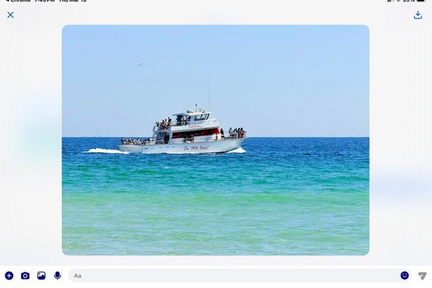 BIG FUN Dolphin Cruise & Sealife Experiece ORANGE BEACH ALABAMA 2