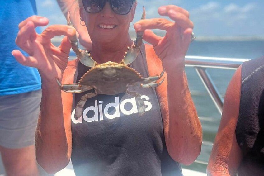 BIG FUN Dolphin Cruise & Sealife Experiece ORANGE BEACH ALABAMA 3