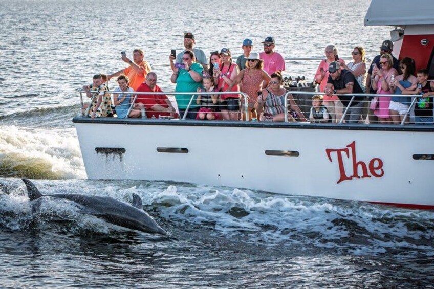 BIG FUN Dolphin Cruise & Sealife Experiece ORANGE BEACH ALABAMA 3