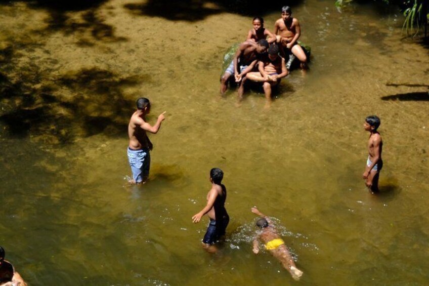 Rio: Bico do Papagaio Hike in Tijuca National Park with Pickup 4