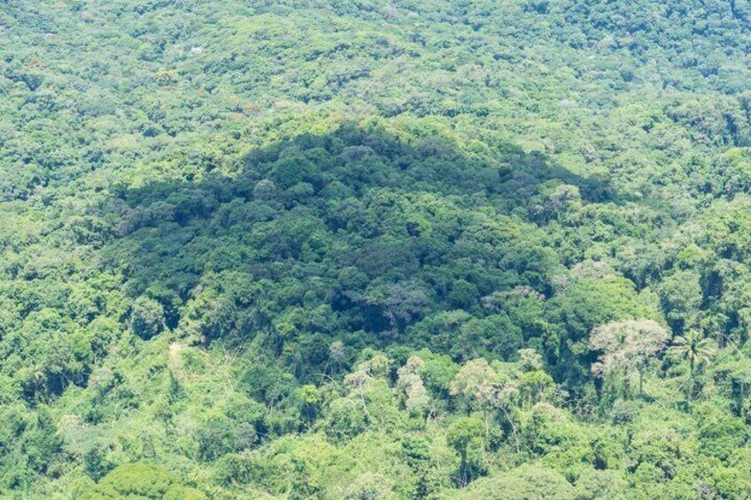 Rio: Bico do Papagaio Hike in Tijuca National Park with Pickup 2