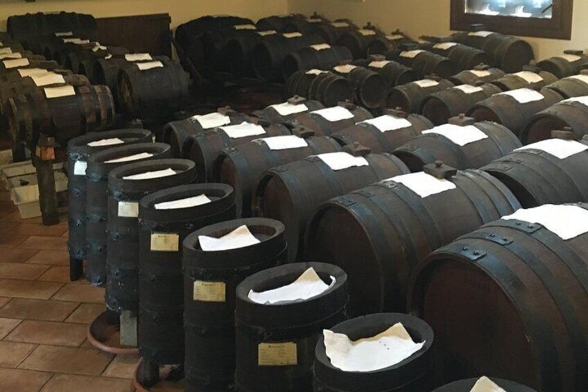 Private Wine, Evo Oils & Balsamic Vinegar Experience with Meal 4