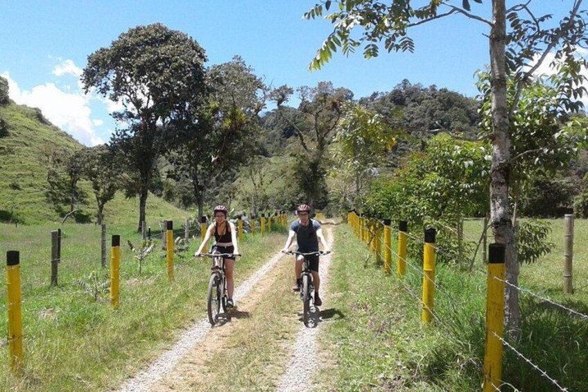 Two cyclists on a dirt path with yellow posts and a fence. 2