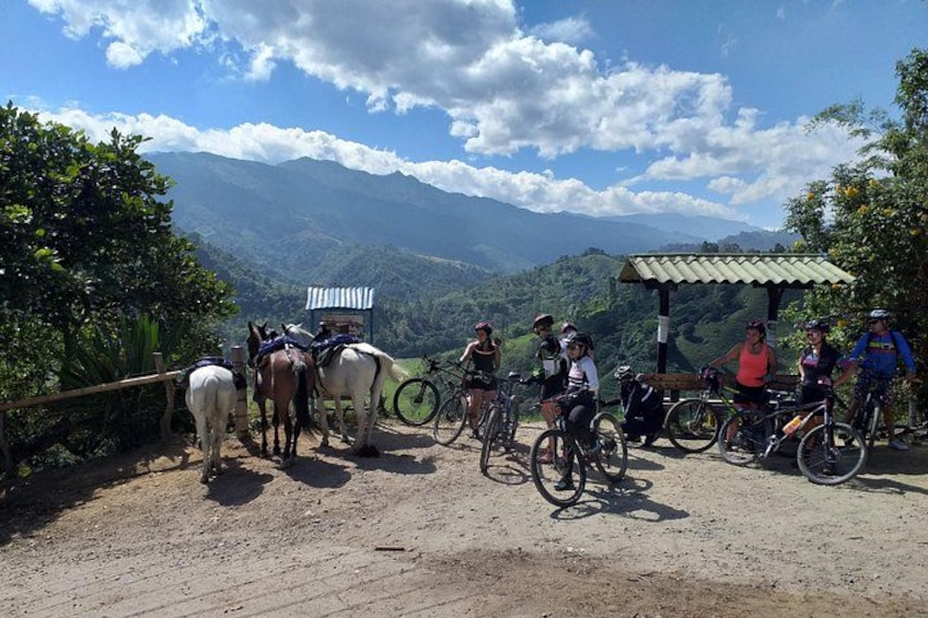 A group of cyclists on a dirt path with horses, overlooking a mountainous landscape. 1