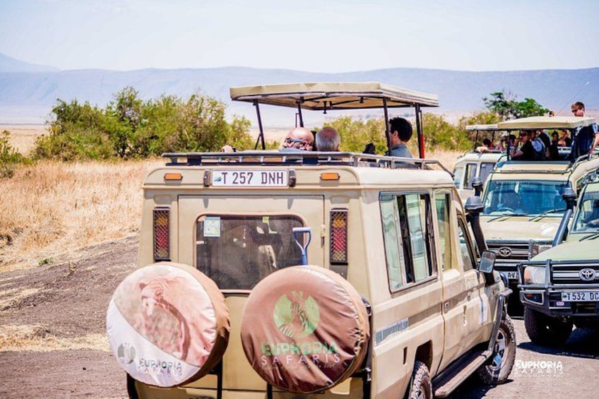 Ngorongoro Crater Day Trip 2