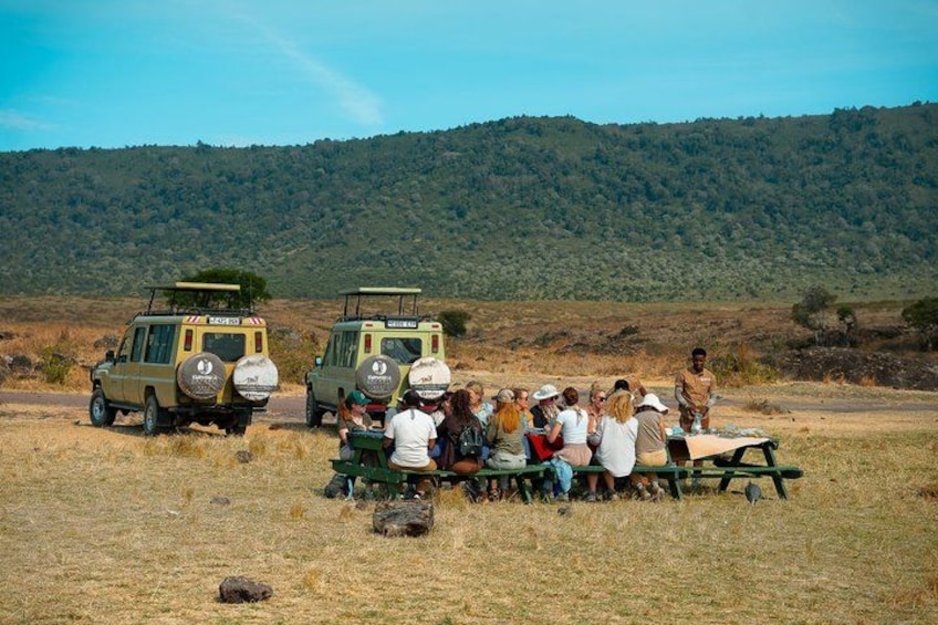 Un grupo de personas sentadas en una mesa de picnic en un campo, con dos vehículos safari al fondo. 5