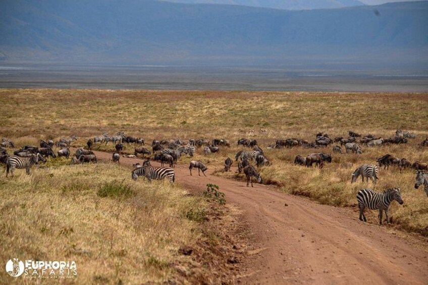 Landscape at Ngorngoro 4
