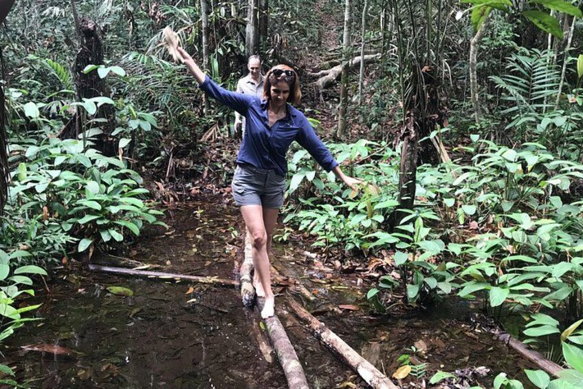Jungle Walk 3
