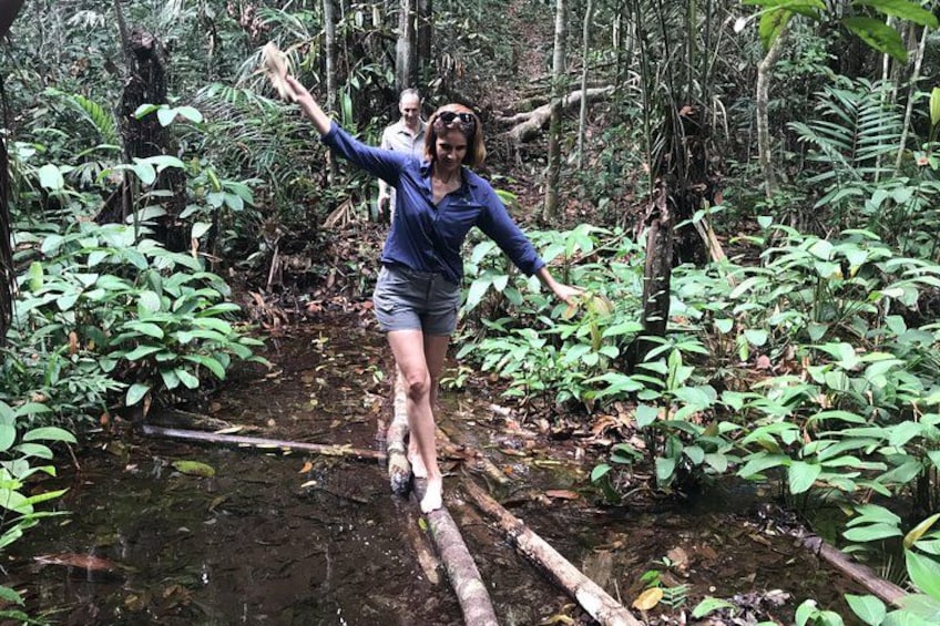 A person balancing on a log in a forest. 3
